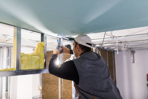 Best Insulation Installation Services in Manton, MI