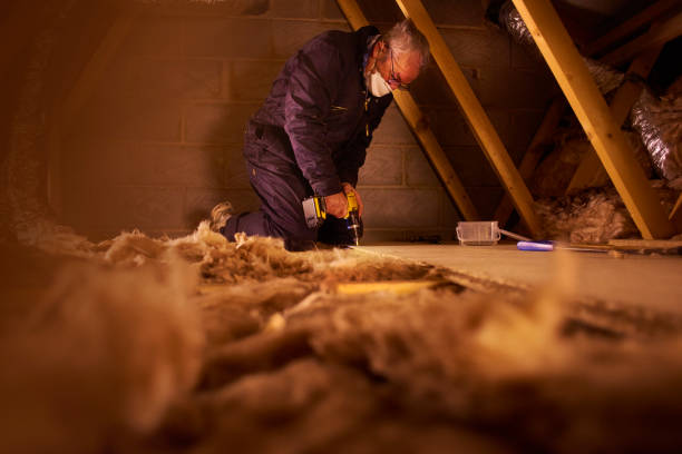 Best Insulation Maintenance and Repair in Manton, MI